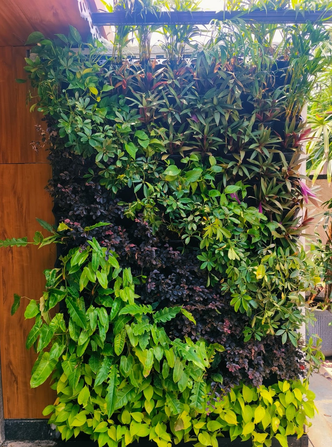 Green Wall 1